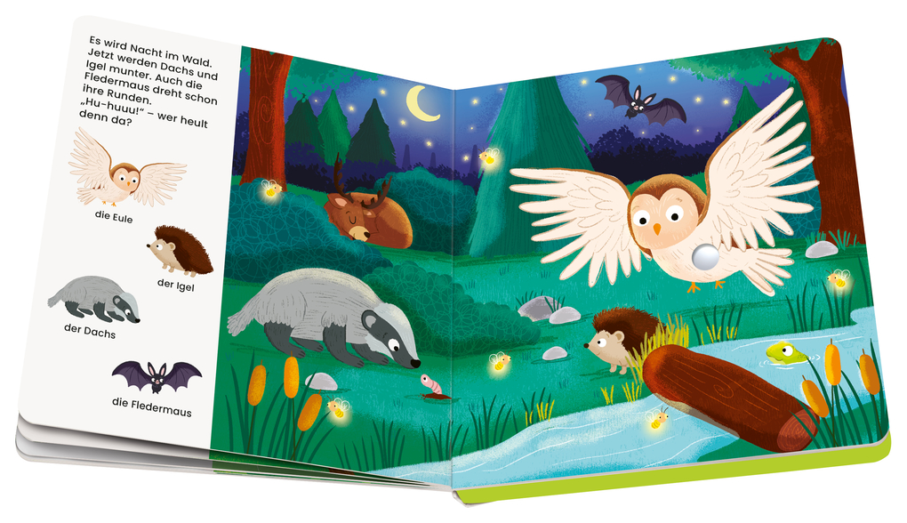 Weitere Ansicht: Play+ Mein allererstes Soundbuch Tiere im Wald - ab 12 Monate | Maria Höck