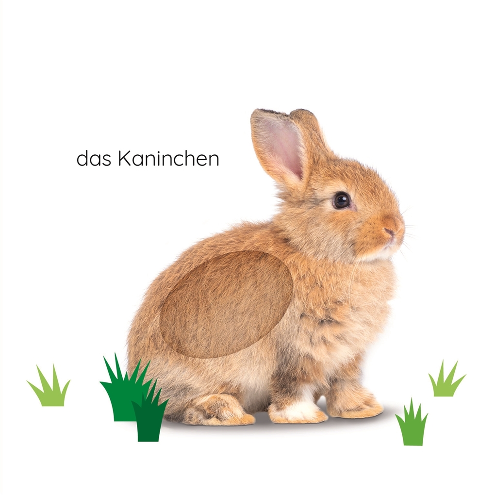 Weitere Ansicht: Erstes Lernen Fühl-Leporello. Haustiere | DK Erstes Lernen