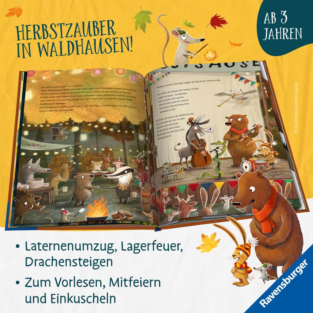 Weitere Ansicht: Hase Hibiskus und die Herbstsause | Andreas König