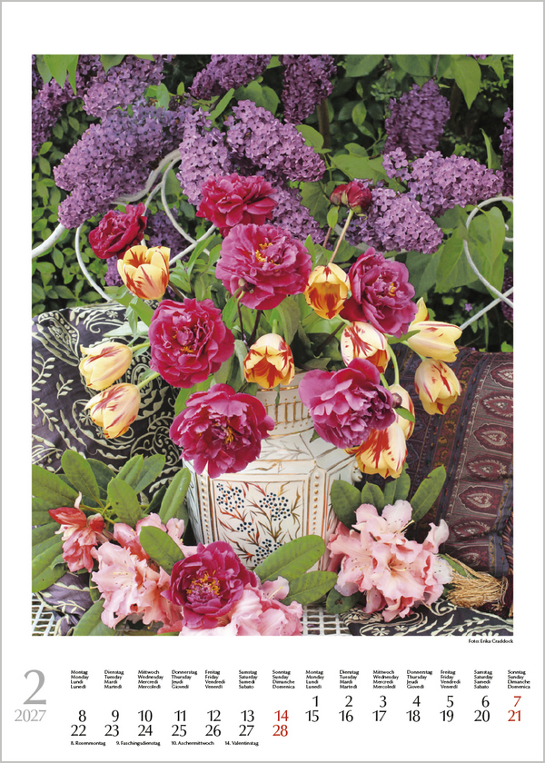 Weitere Ansicht: Blumenträume 2027