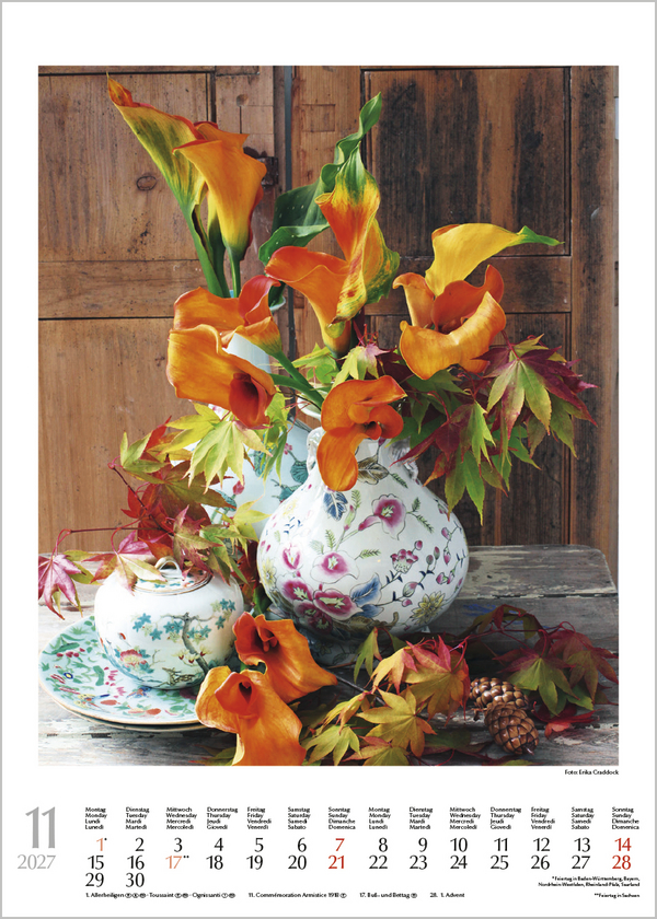 Weitere Ansicht: Blumenträume 2027