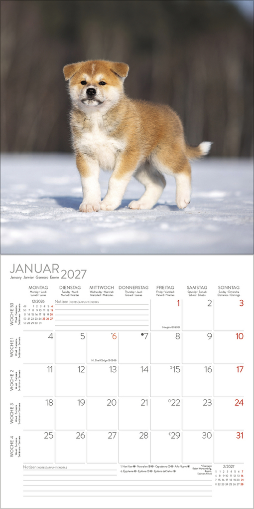 Weitere Ansicht: Dogs 2027