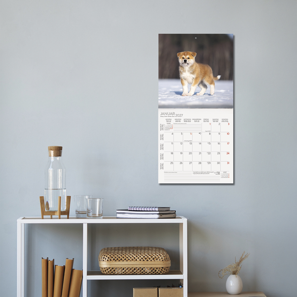 Weitere Ansicht: Dogs 2027