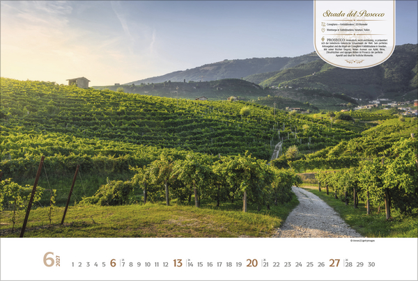 Weitere Ansicht: Weinstraßen Europas 2027