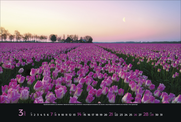 Weitere Ansicht: Colourful Seasons 2027