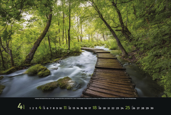 Weitere Ansicht: Colourful Seasons 2027