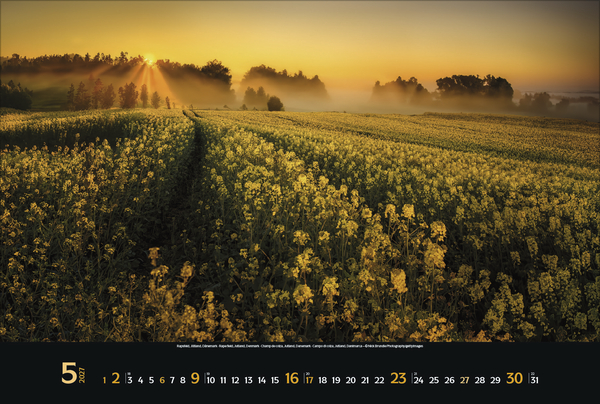 Weitere Ansicht: Colourful Seasons 2027