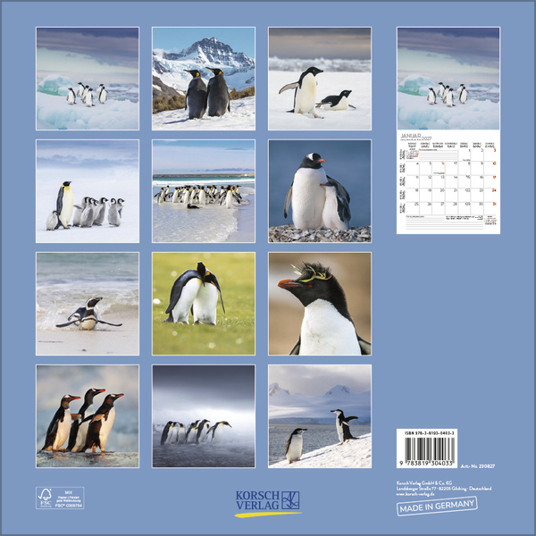 Weitere Ansicht: Pinguine 2027