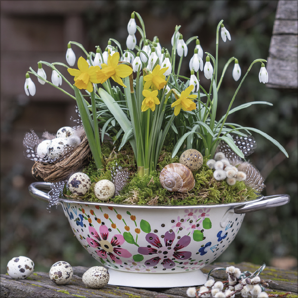 Weitere Ansicht: Land & Lust 2027