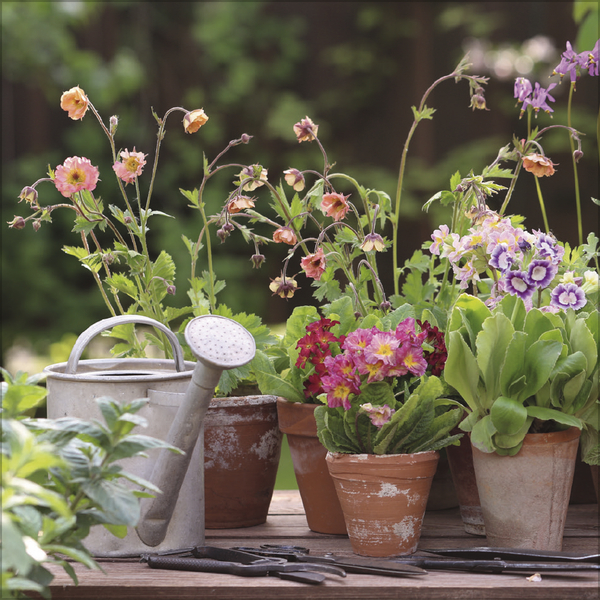 Weitere Ansicht: Land & Lust 2027