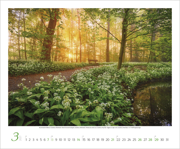 Weitere Ansicht: Augenblicke der Stille 2027