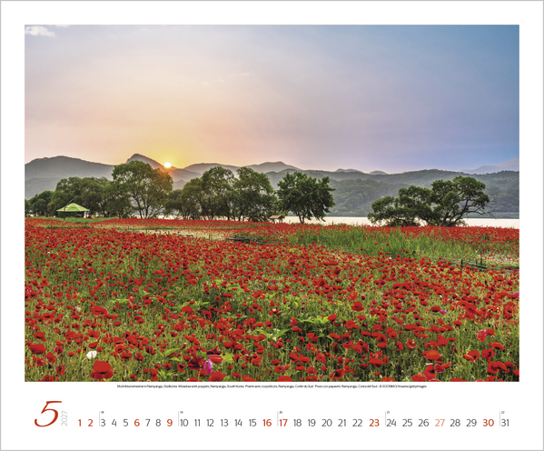 Weitere Ansicht: Augenblicke der Stille 2027