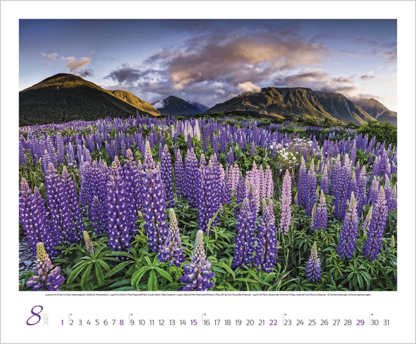 Weitere Ansicht: Augenblicke der Stille 2027