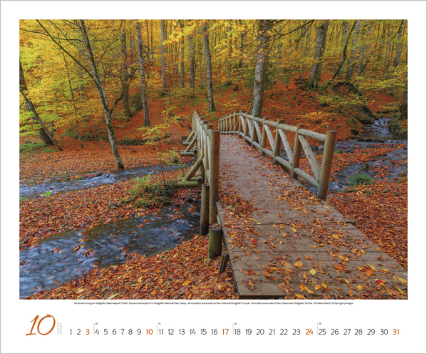 Weitere Ansicht: Augenblicke der Stille 2027