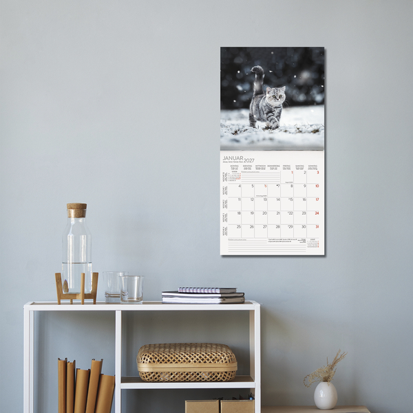 Weitere Ansicht: Cats 2027