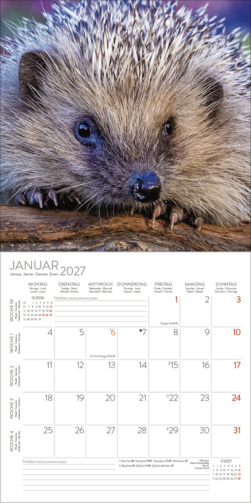 Weitere Ansicht: Igel 2027