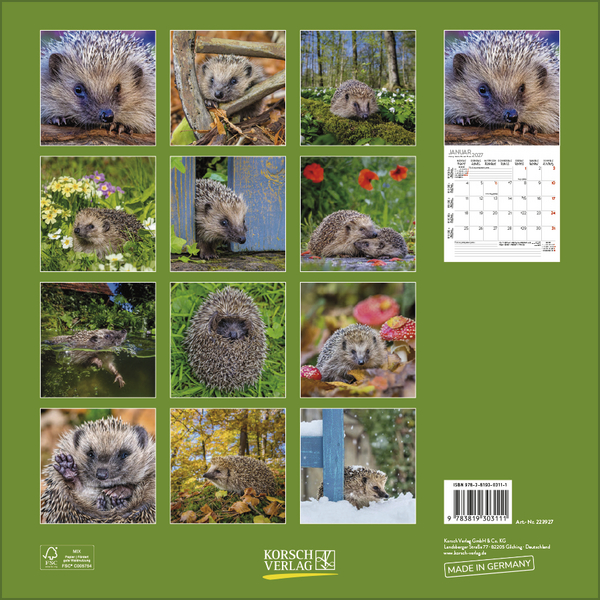 Weitere Ansicht: Igel 2027