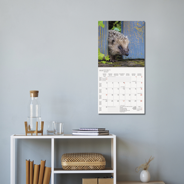 Weitere Ansicht: Igel 2027