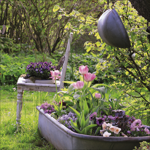 Weitere Ansicht: Gartenträume 2027