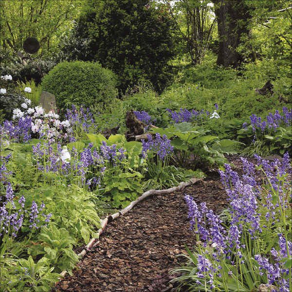 Weitere Ansicht: Gartenträume 2027