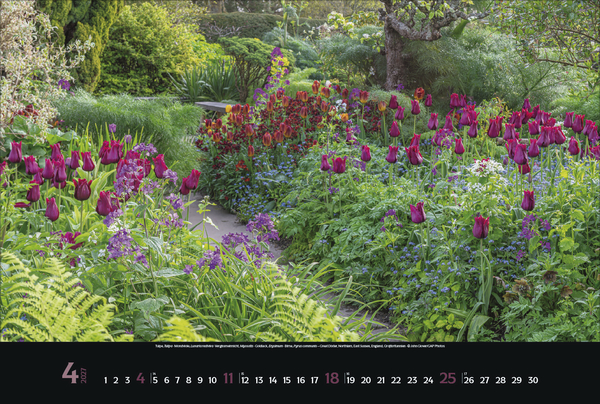 Weitere Ansicht: Magische Gärten 2027