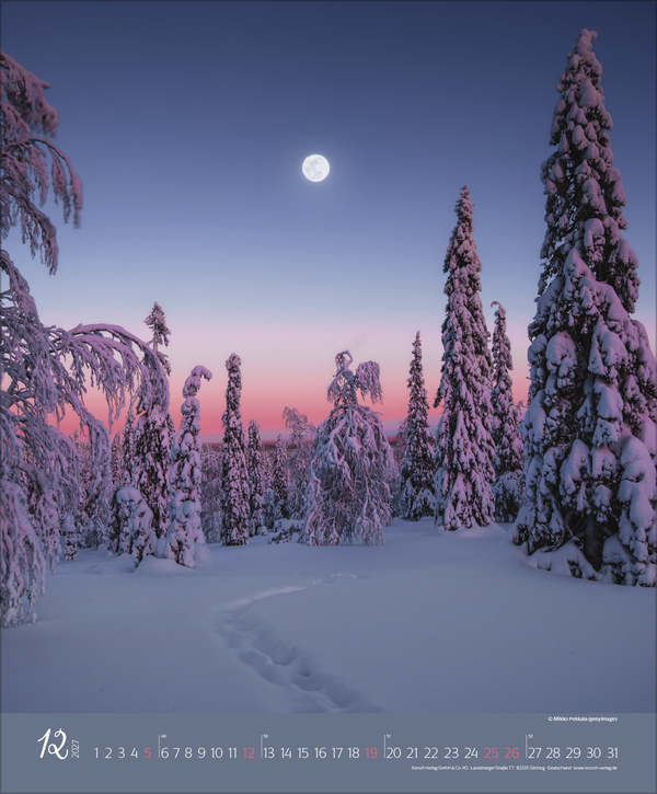 Weitere Ansicht: Augenblicke im Wald 2027