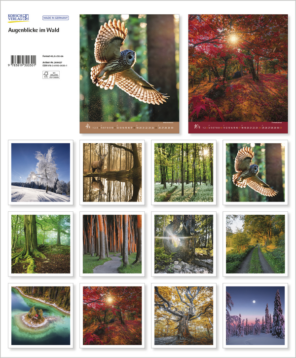 Weitere Ansicht: Augenblicke im Wald 2027