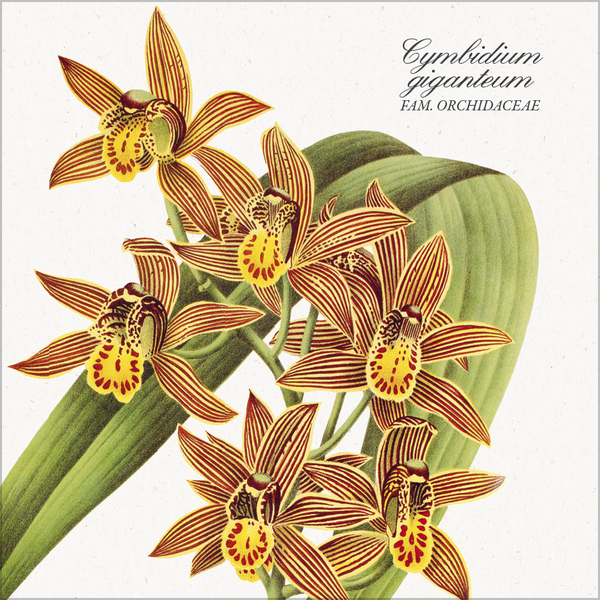 Weitere Ansicht: Botanicum 2027