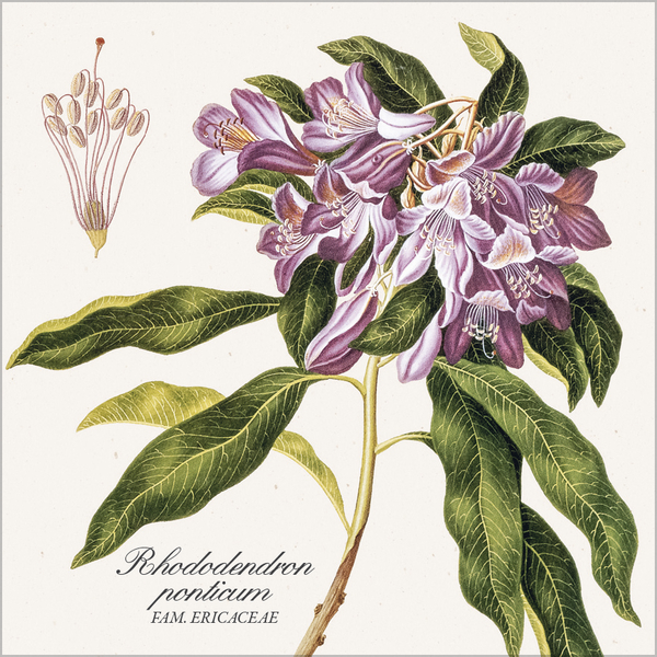 Weitere Ansicht: Botanicum 2027
