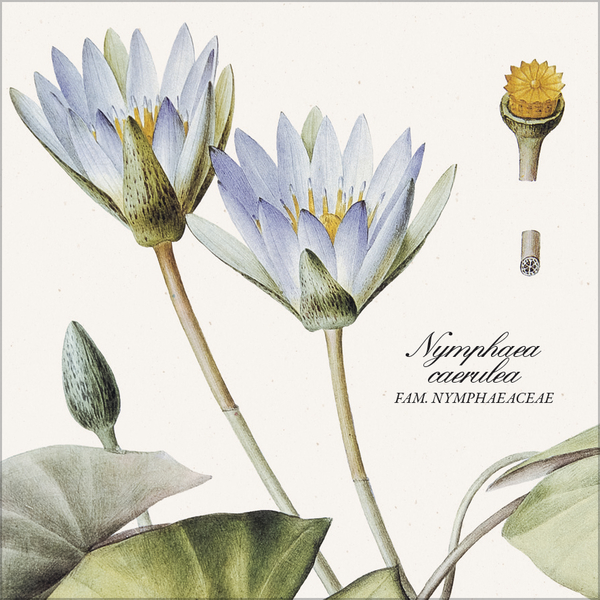 Weitere Ansicht: Botanicum 2027
