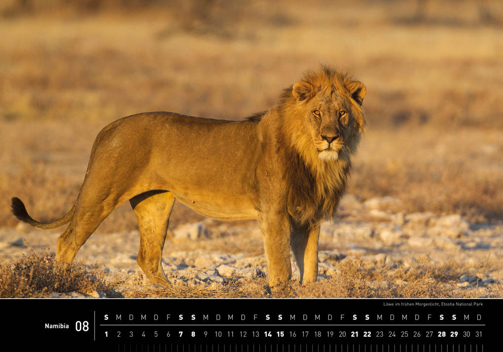Weitere Ansicht: Namibia Premiumkalender 2027