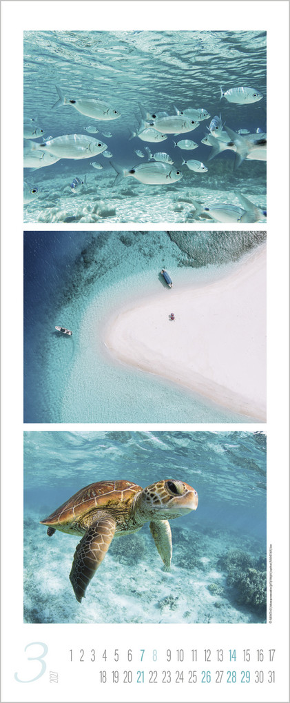 Weitere Ansicht: Meeresrauschen 2027