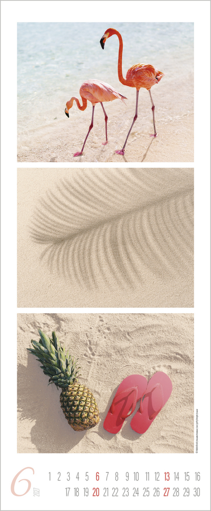 Weitere Ansicht: Meeresrauschen 2027