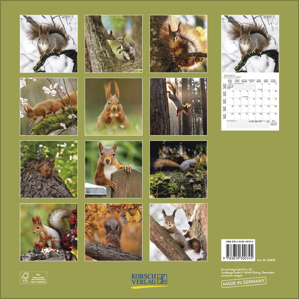 Weitere Ansicht: Eichhörnchen 2027