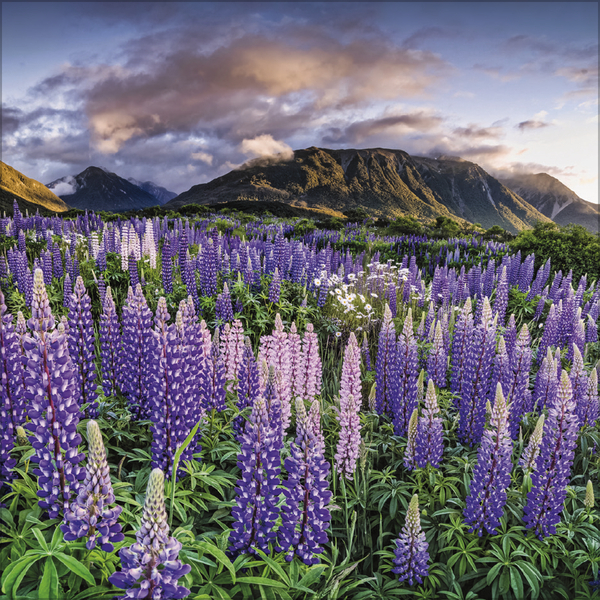 Weitere Ansicht: Augenblicke der Stille 2027