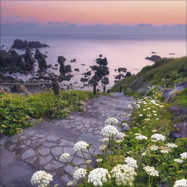 Weitere Ansicht: Traumwege 2027