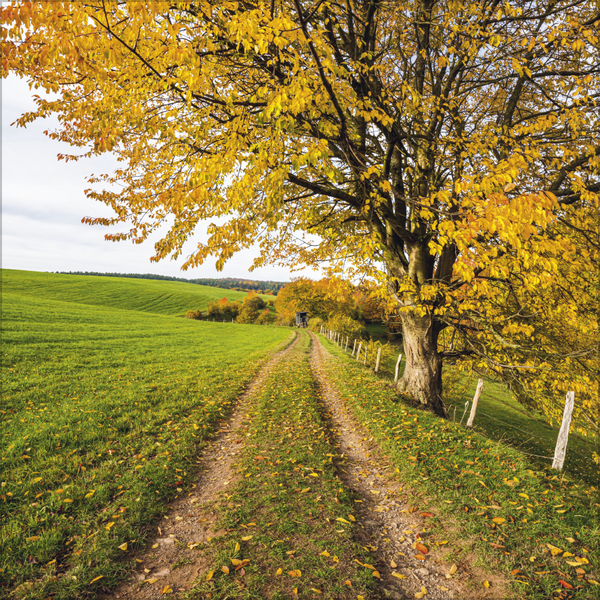 Weitere Ansicht: Traumwege 2027