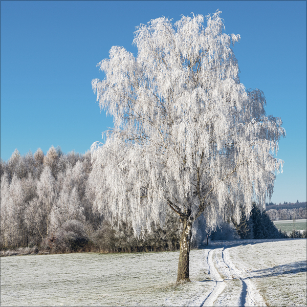 Weitere Ansicht: Traumwege 2027
