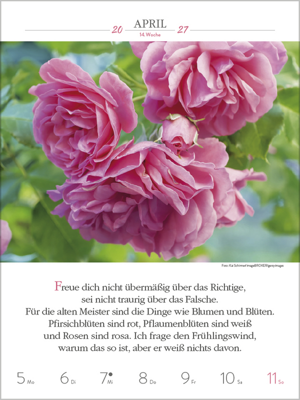 Weitere Ansicht: Buddhistische Weisheiten 2027