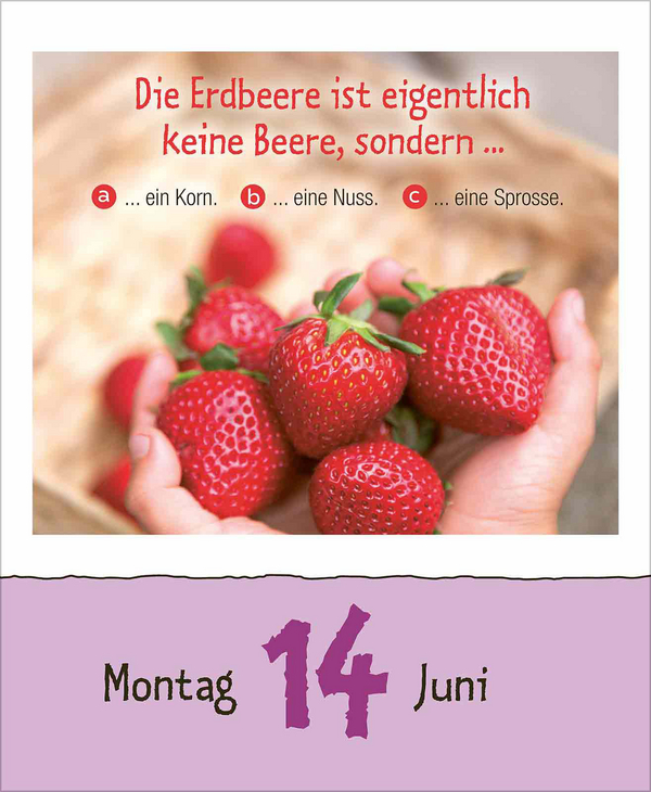 Weitere Ansicht: Kinderwissen 2027