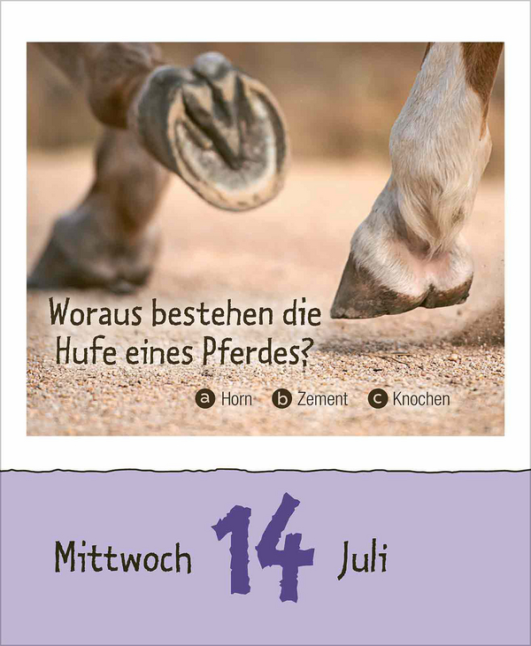 Weitere Ansicht: Kinderwissen 2027