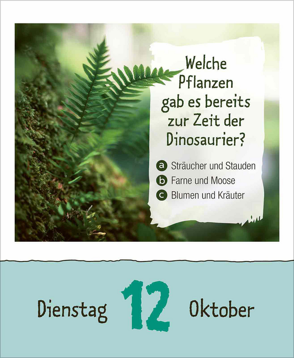 Weitere Ansicht: Kinderwissen 2027