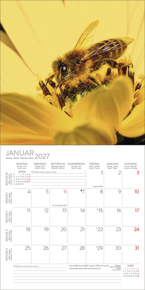 Weitere Ansicht: Bienen 2027