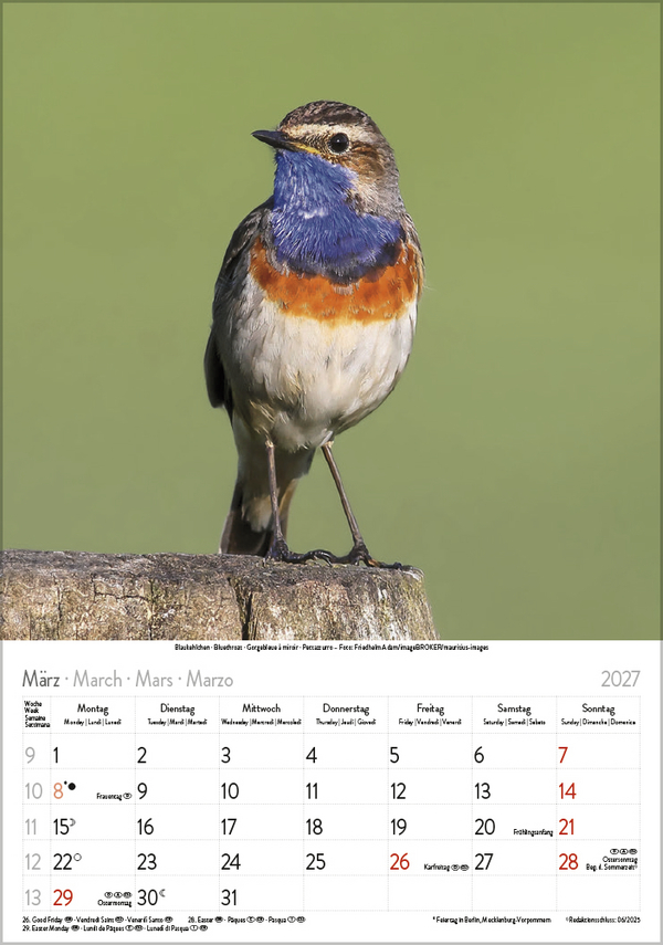 Weitere Ansicht: Vögel 2027