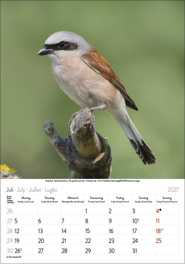 Weitere Ansicht: Vögel 2027