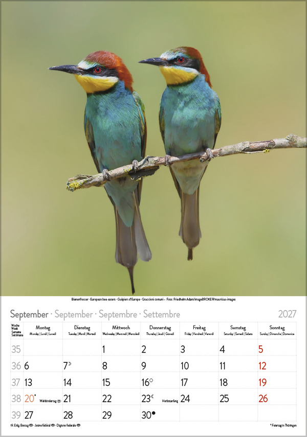 Weitere Ansicht: Vögel 2027