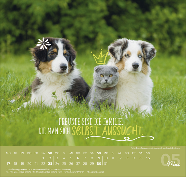 Weitere Ansicht: Du bist mein Herzensmensch 2027