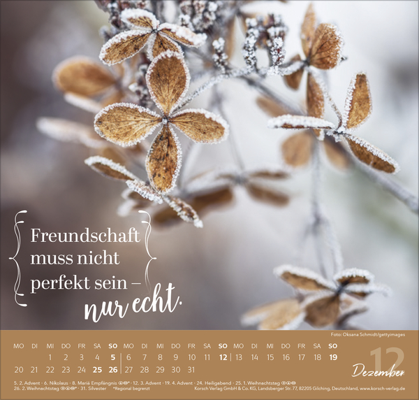 Weitere Ansicht: Du bist mein Herzensmensch 2027