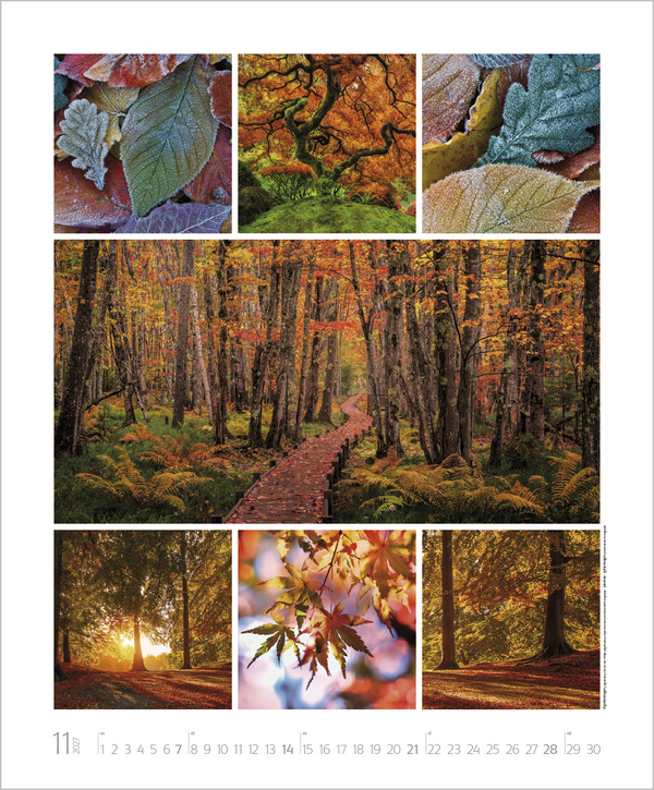 Weitere Ansicht: NaturGenuss 2027