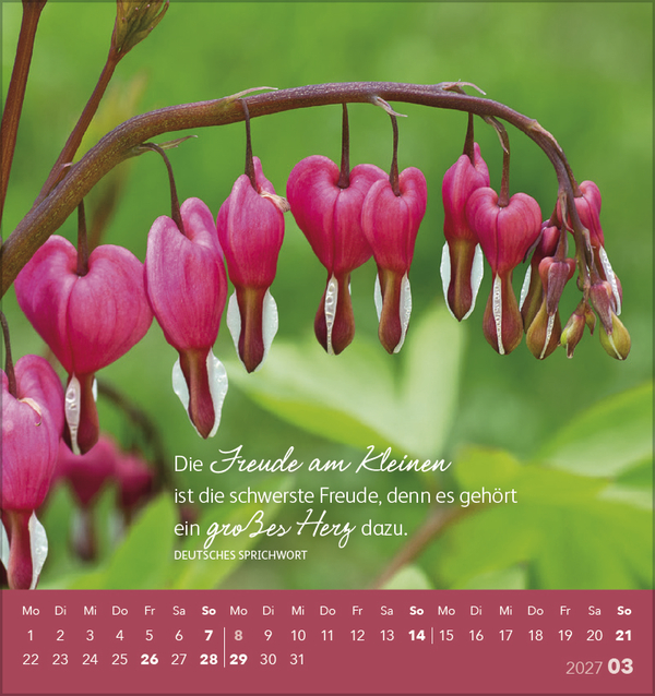 Weitere Ansicht: Schön, dass es dich gibt! 2027